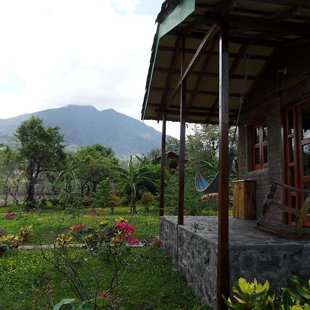 Finca Montana Sagrada Мерида Номер фото