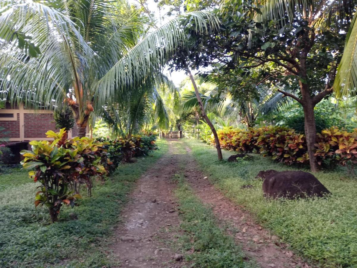 Finca Montana Sagrada Мерида Экстерьер фото